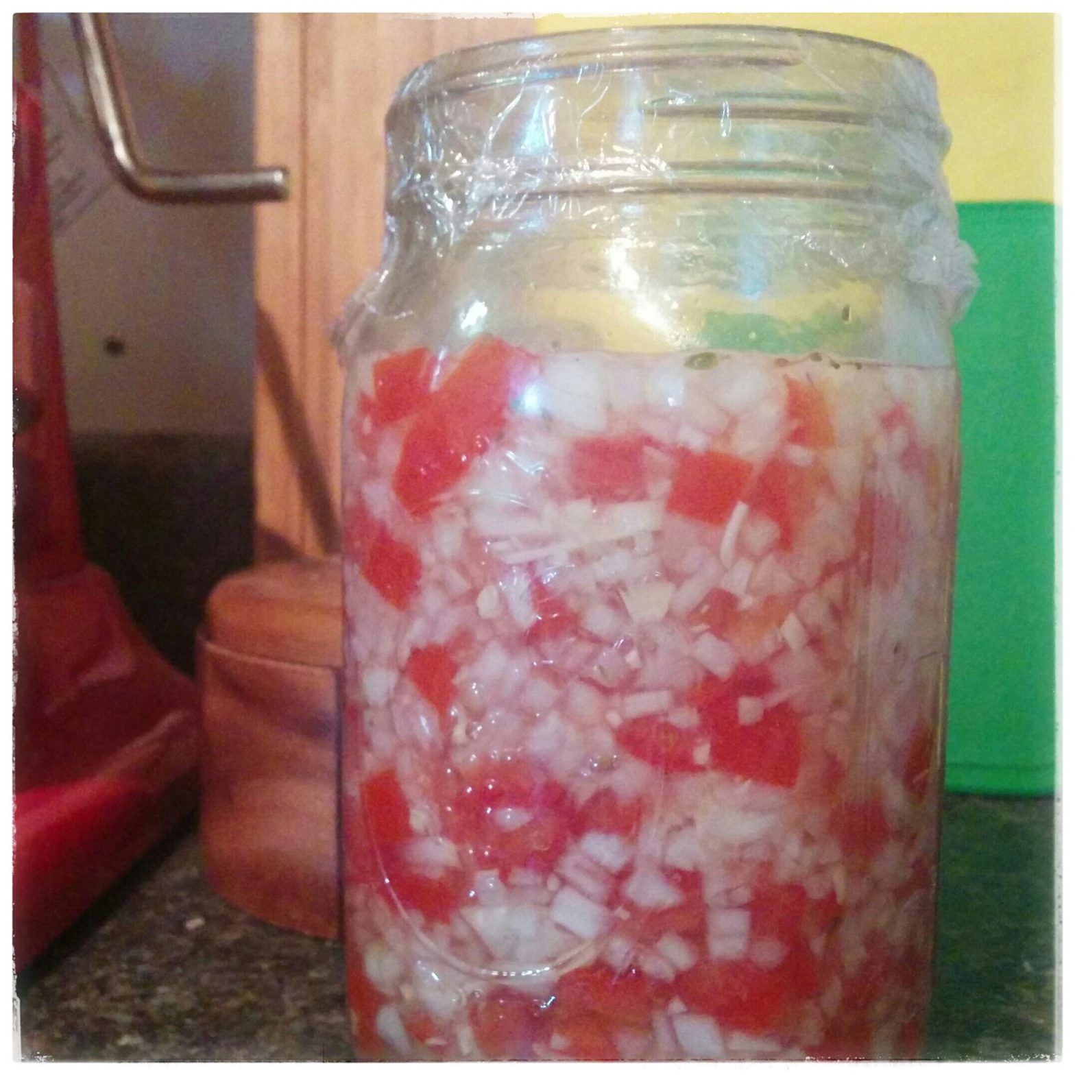 Fresh Tomato and Onion Salsa